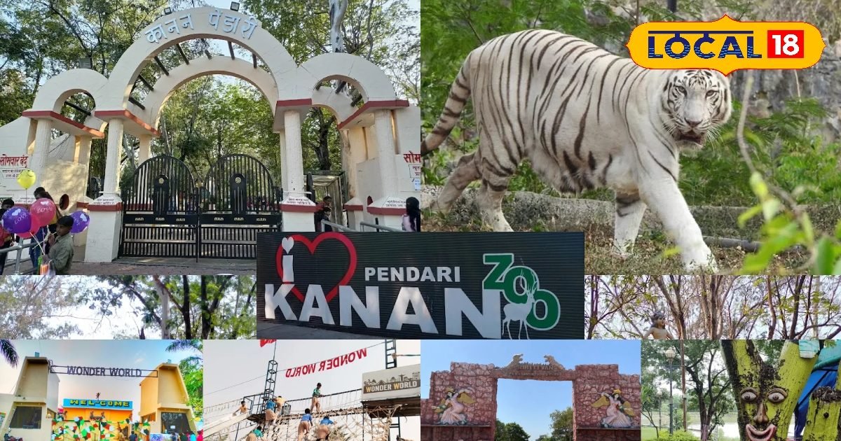 चिड़ियाघर और फन वर्ल्ड, बिलासपुर में बच्चों के लिए न्यू ईयर का बेस्ट प्लेस