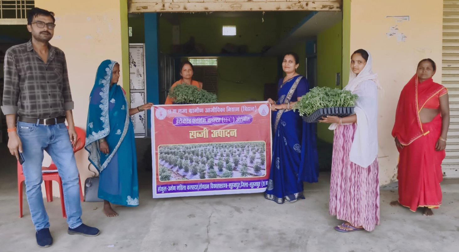 27,300 टमाटर एवं बैंगन के ग्राफ्टेड पौधों का वितरण, दीदियाँ बनीं कृषि उद्यमी